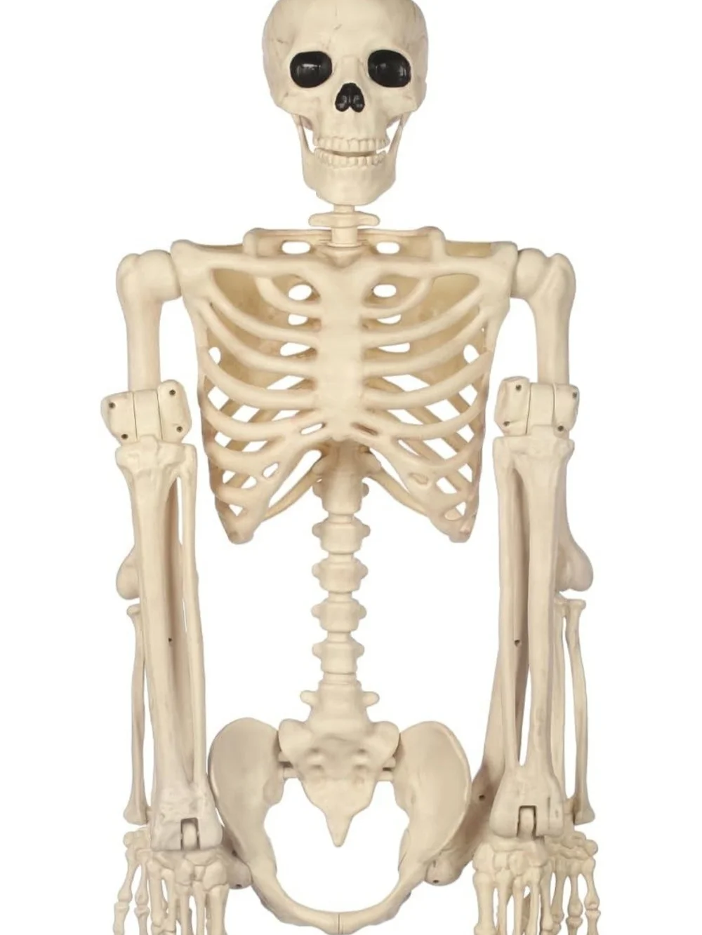 5FT Life-Size Pose-N-Stay Posable Halloween Skeleton Decor NWT